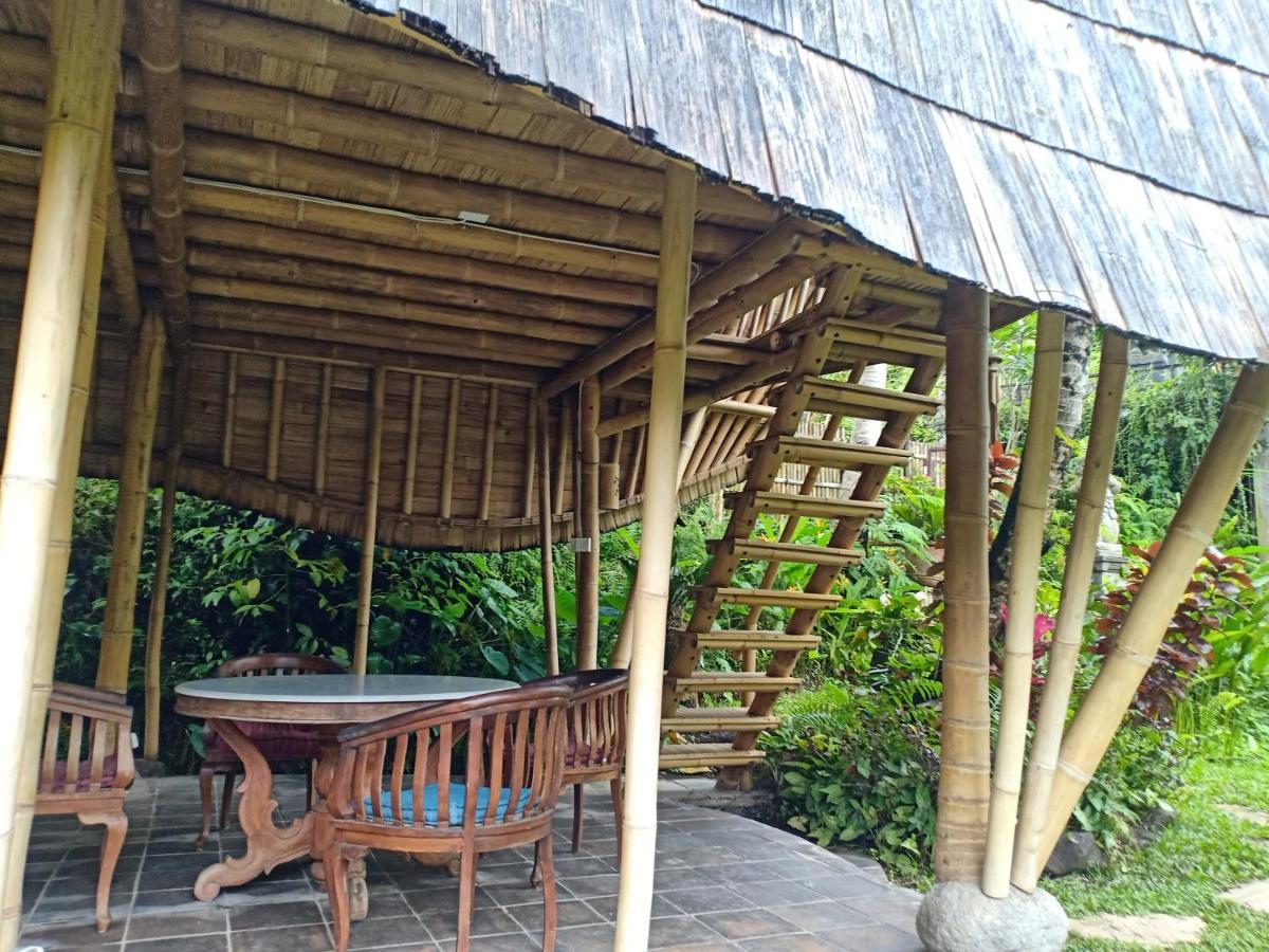 Jero Tumbuk Private Villa Selat Exterior foto