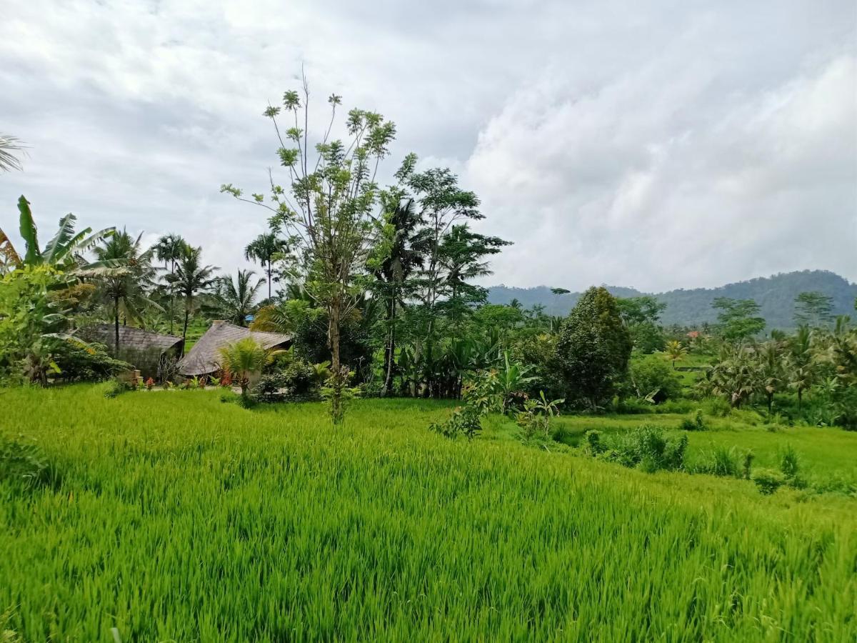 Jero Tumbuk Private Villa Selat Exterior foto