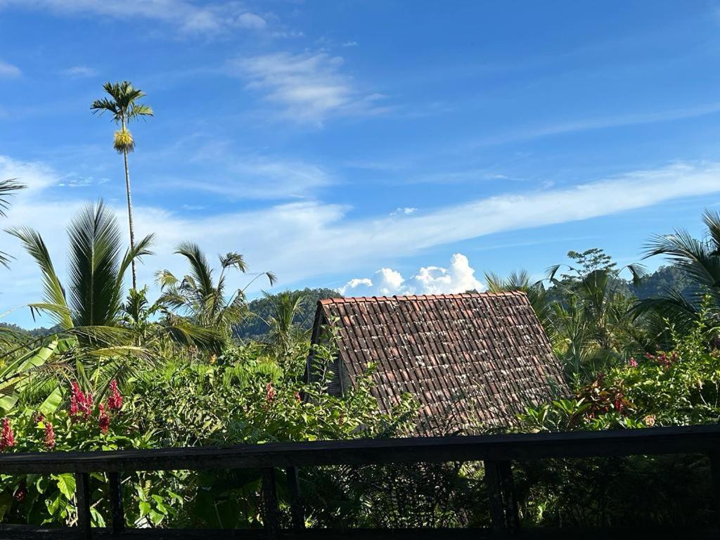 Jero Tumbuk Private Villa Selat Exterior foto